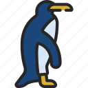 penguin, ocean, sealife, mammal, antarctica