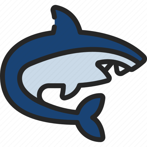 Shark, mammal, sharks, sealife, animal icon - Download on Iconfinder