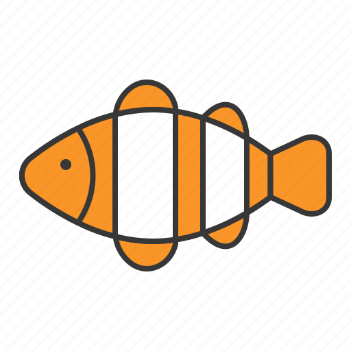 Aquatic animal, clownfish, ocean, fish icon - Download on Iconfinder