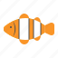 aquatic animal, clownfish, fish, ocean, sea 