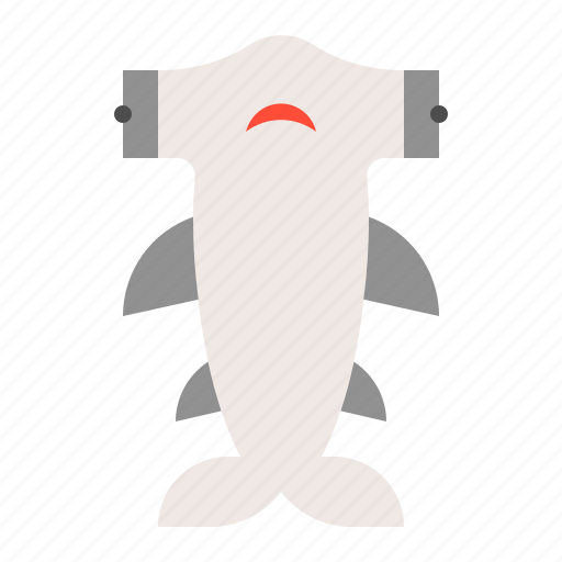 Aquatic animal, hammerhead shark, ocean, sea, shark icon - Download on Iconfinder