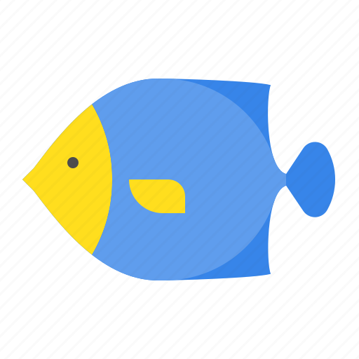 Angelfish, aquatic animal, fish, ocean, sea icon - Download on Iconfinder