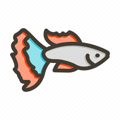 Guppy, fish, animal, sea, ocean icon - Download on Iconfinder