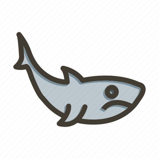 Shark, fish, animal, sea, ocean icon - Download on Iconfinder