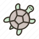 turtle, animal, sea, tortoise, ocean