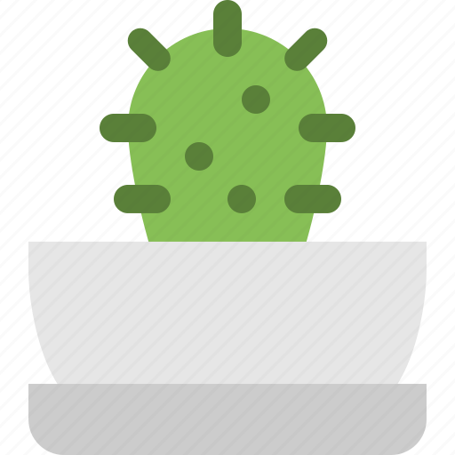 Cactus, flower, garden, nature, plant, tree icon - Download on Iconfinder