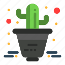 cactus, flower, plant