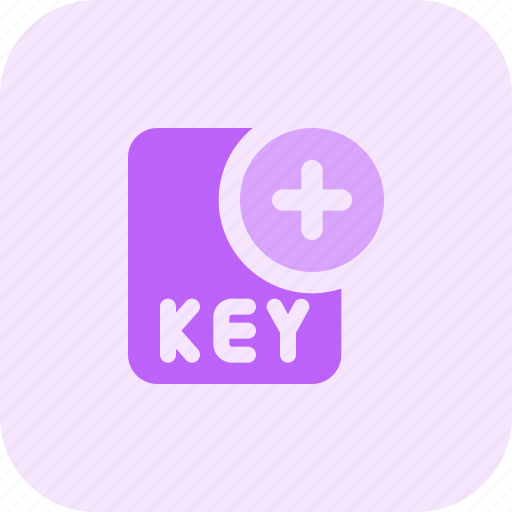 File, key, plus, office, files icon - Download on Iconfinder