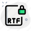 file, rtf, lock, office, files 