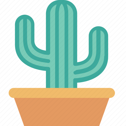 Cactus, decoration, interior, nature, plant, pot icon - Download on Iconfinder