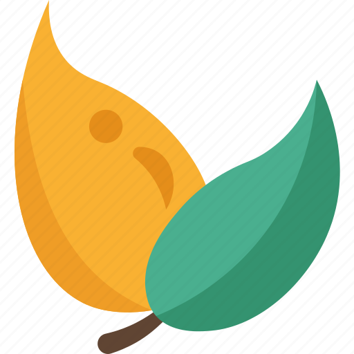 Natural, oil, ecofriendly, aroma, herbal icon - Download on Iconfinder