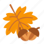 oktoberfest, maple, autumn, foliage, leaf, nature, acorn 