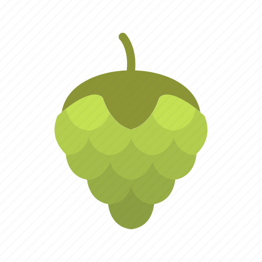 Agriculture, beer, fruit, hops, ingredient, natural, plant icon - Download on Iconfinder