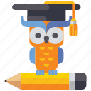 education, knowledge, owl, wisdom