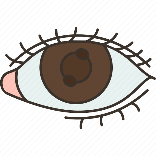 Eye, vision, iris, optical, looking icon - Download on Iconfinder