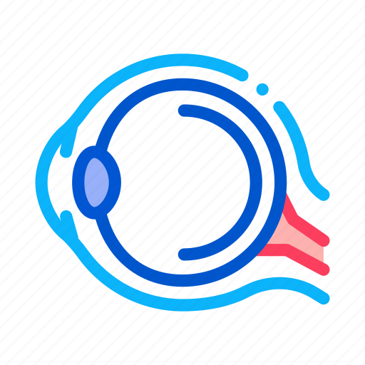 Anatomy, eyeball, health, human, organ, retina, structure icon - Download on Iconfinder