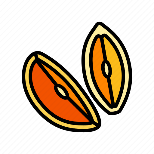 Orange, fresh, cut, slice, citrus, juice icon - Download on Iconfinder