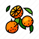 ripe, orange, cut, leaf, citrus, fresh