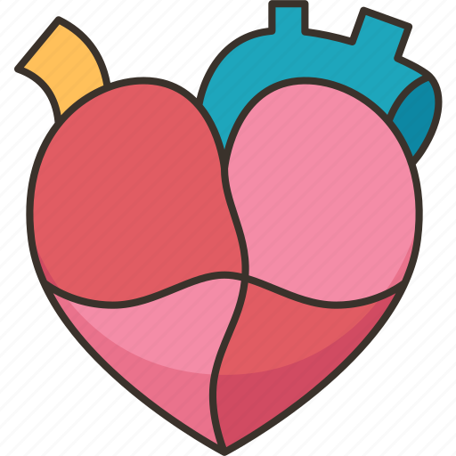Heart, cardiology, anatomy, health, medical icon - Download on Iconfinder