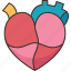heart, cardiology, anatomy, health, medical 