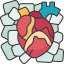 heart, organ, fridge, medical, cold 