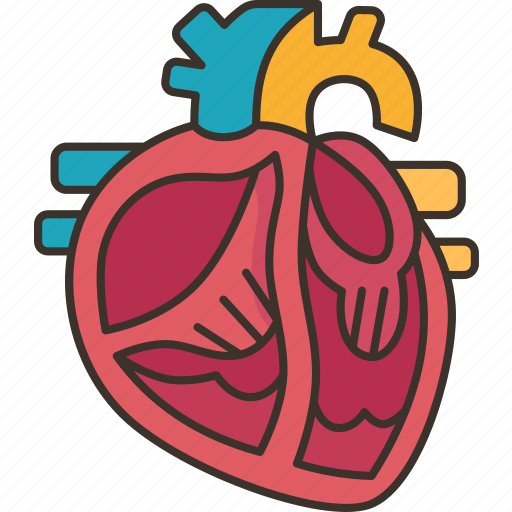 Heart, valves, cardiology, healthl, anatomy icon - Download on Iconfinder