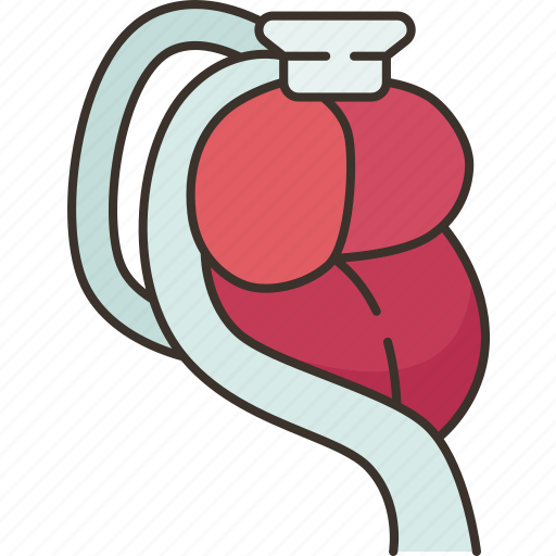Perfusion, organ, health, medical, transplant icon - Download on Iconfinder