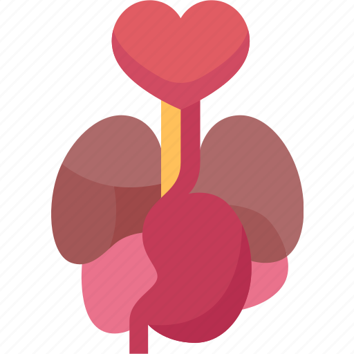 Organ, donation, medical, health, care icon - Download on Iconfinder