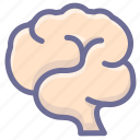 brain, encephalon, harns, pericranium, idea, mind