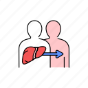 transplantation, people, liver, donation, organ