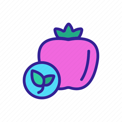 Contour, food, foods, fruit, healthy, organic, pomegranate icon - Download on Iconfinder