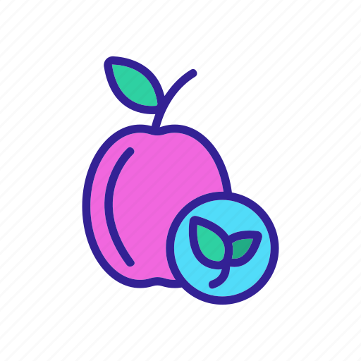 Food, foods, fresh, fruit, healthy, organic, peach icon - Download on Iconfinder