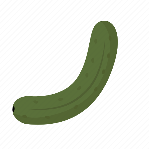 Cucumber, green, pickle, vegetable, organic, food, salad icon - Download on Iconfinder