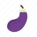 eggplant, aubergine, purple, vegetable, fresh, organic