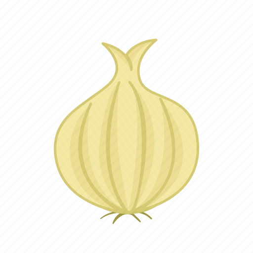 Onion, yellow, vegetable, fresh, organic, food, seasoning icon - Download on Iconfinder