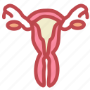 female, medical, reproductive, uterus, vagina, virgin