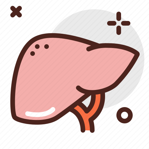 Body, health, human, liver, medical icon - Download on Iconfinder