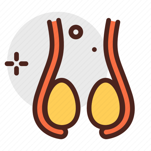 Body, health, human, medical, testicles icon - Download on Iconfinder