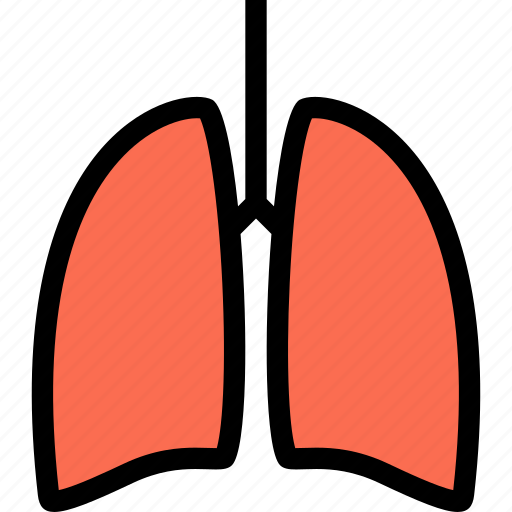 Body, doctor, lungs, organ, surgery, treatment icon - Download on Iconfinder