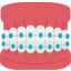 orthodontic, model, bracket, brace, dentistry 