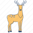 deer, animal, spotted deer, stag, wildlife, zoo, wild