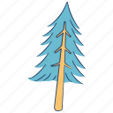 pine tree, tree, pine, conifer tree, coniferous tree, plant, evergreen