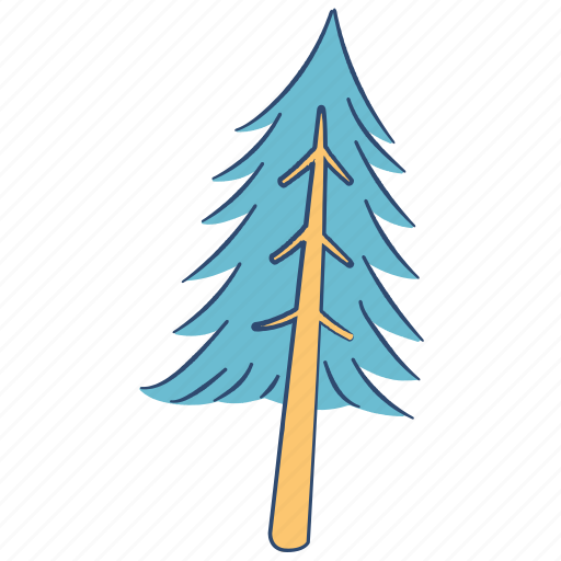 Pine tree, tree, pine, conifer tree, coniferous tree, plant, evergreen icon - Download on Iconfinder