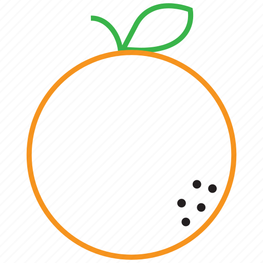 orange fruit outline