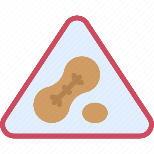 Allergies, logistics, nuts, allergy icon - Download on Iconfinder