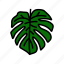 monstera, plant, leaf, palm, summer, green 