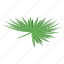 palm, tree, leaf, isometric 