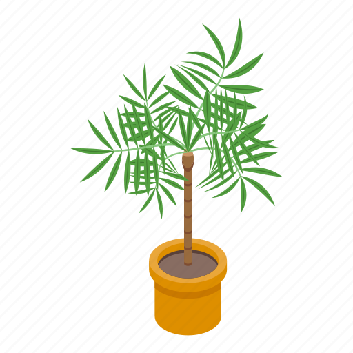 Palm, tree, pot, isometric icon - Download on Iconfinder