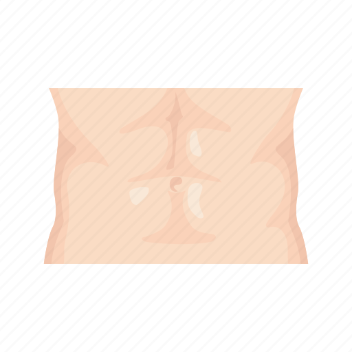 Abdomen, human anatomy, human body, male, male abs, stomach, tummy icon - Download on Iconfinder