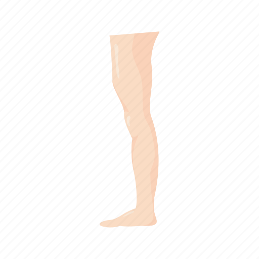 Back of leg, calf muscle, hamstring muscle, human leg, left leg, leg,  standing icon - Download on